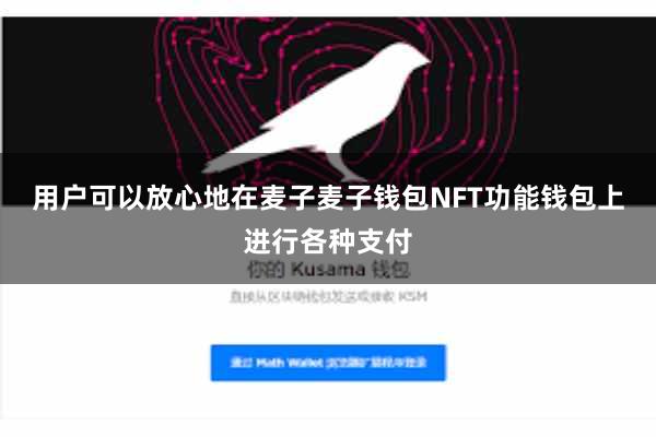 用户可以放心地在麦子麦子钱包NFT功能钱包上进行各种支付