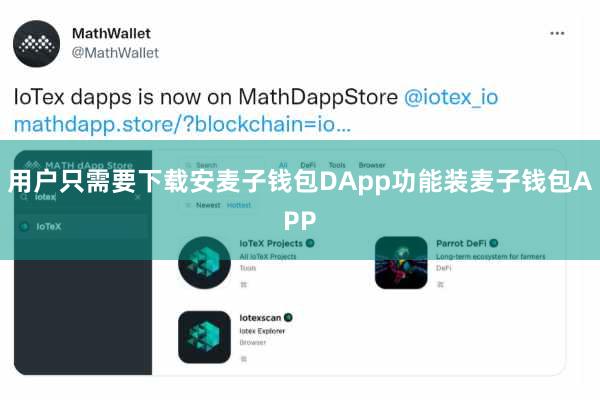 用户只需要下载安麦子钱包DApp功能装麦子钱包APP