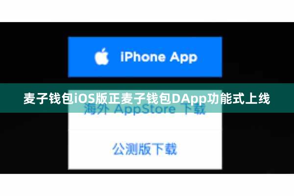 麦子钱包iOS版正麦子钱包DApp功能式上线