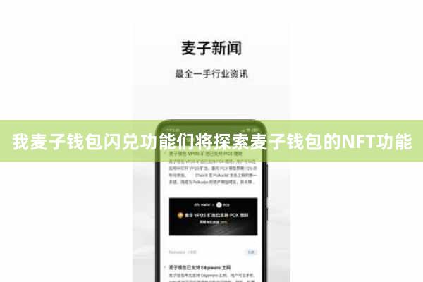 我麦子钱包闪兑功能们将探索麦子钱包的NFT功能