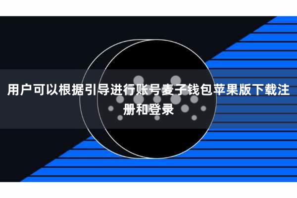 用户可以根据引导进行账号麦子钱包苹果版下载注册和登录