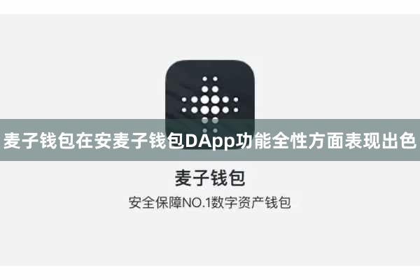 麦子钱包在安麦子钱包DApp功能全性方面表现出色