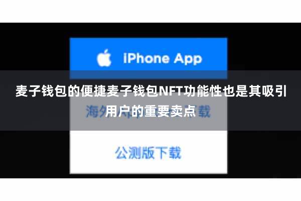 麦子钱包的便捷麦子钱包NFT功能性也是其吸引用户的重要卖点