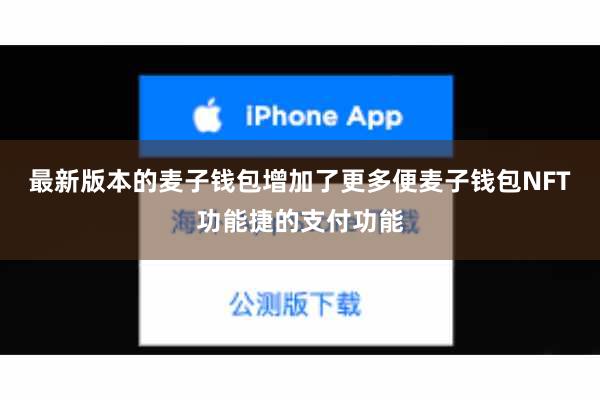 最新版本的麦子钱包增加了更多便麦子钱包NFT功能捷的支付功能