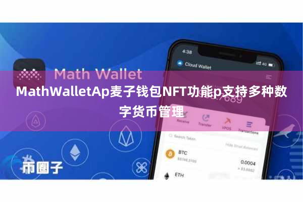 MathWalletAp麦子钱包NFT功能p支持多种数字货币管理