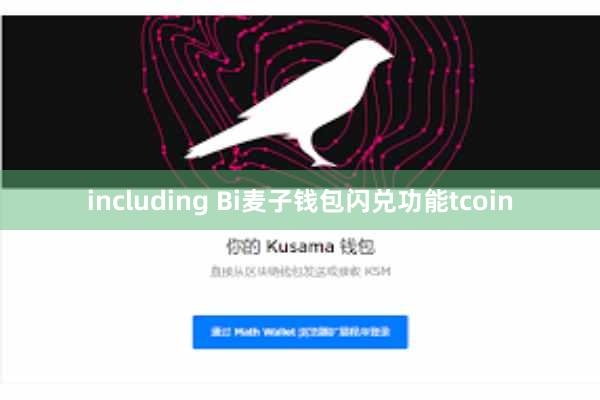 including Bi麦子钱包闪兑功能tcoin