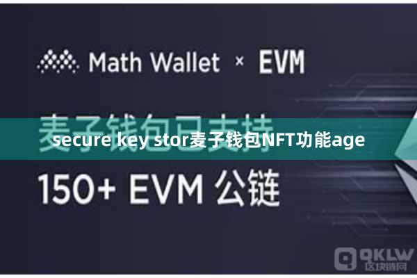 secure key stor麦子钱包NFT功能age