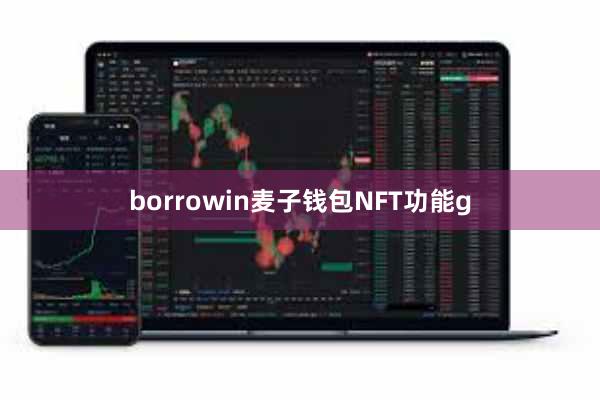 borrowin麦子钱包NFT功能g