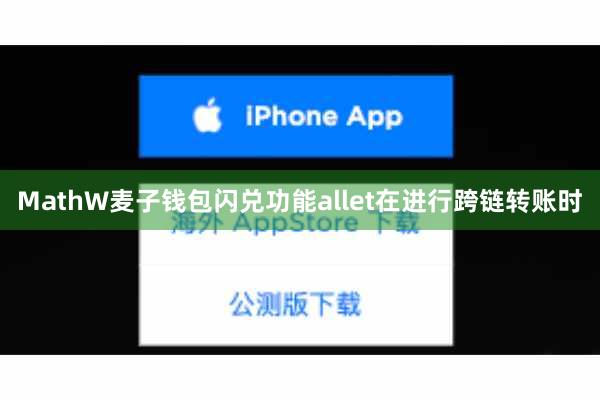MathW麦子钱包闪兑功能allet在进行跨链转账时