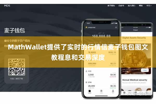 MathWallet提供了实时的行情信麦子钱包图文教程息和交易深度