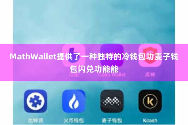 MathWallet提供了一种独特的冷钱包功麦子钱包闪兑功能能