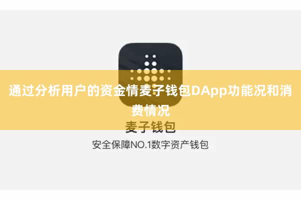 通过分析用户的资金情麦子钱包DApp功能况和消费情况