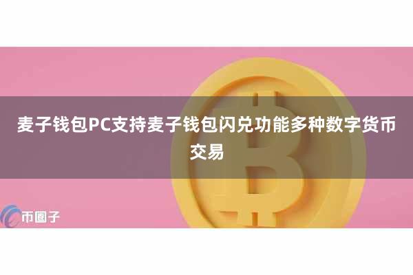 麦子钱包PC支持麦子钱包闪兑功能多种数字货币交易