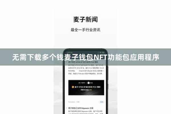 无需下载多个钱麦子钱包NFT功能包应用程序