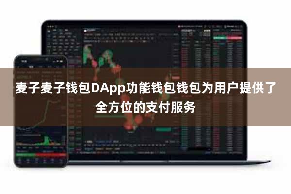 麦子麦子钱包DApp功能钱包钱包为用户提供了全方位的支付服务
