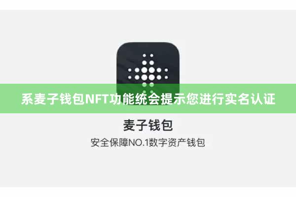 系麦子钱包NFT功能统会提示您进行实名认证