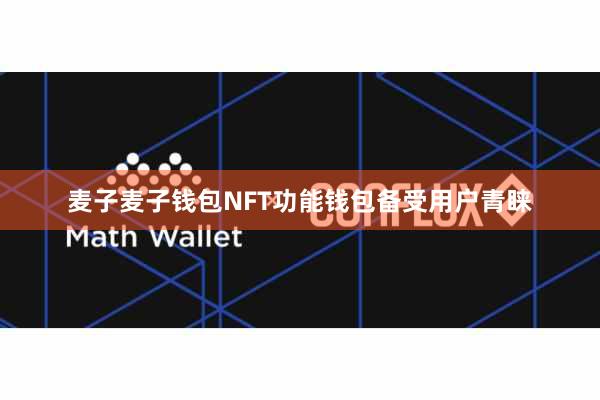 麦子麦子钱包NFT功能钱包备受用户青睐