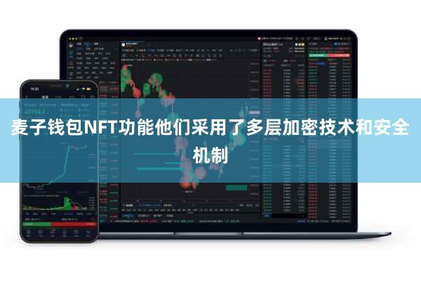 麦子钱包NFT功能他们采用了多层加密技术和安全机制