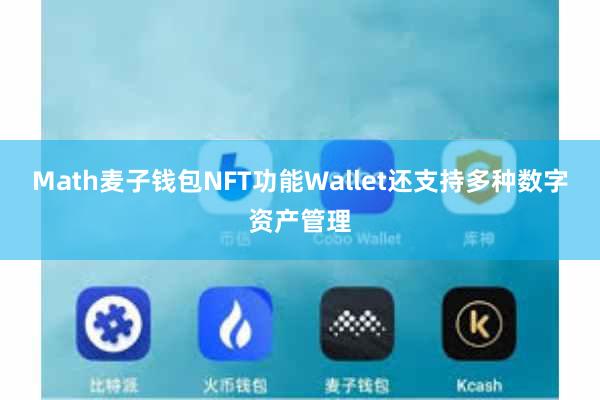Math麦子钱包NFT功能Wallet还支持多种数字资产管理